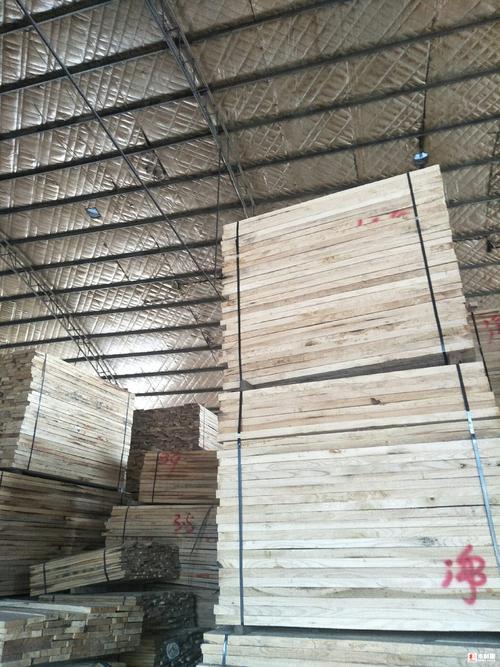 河南白椿 白杨 榆木 厂家自营 常年销售 - 木材圈