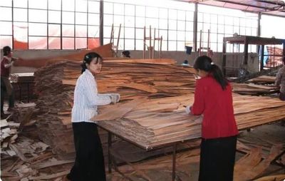 因缺少原料 缅甸近80%木材加工厂停工